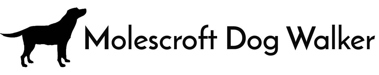 Molescroft Dog Walker